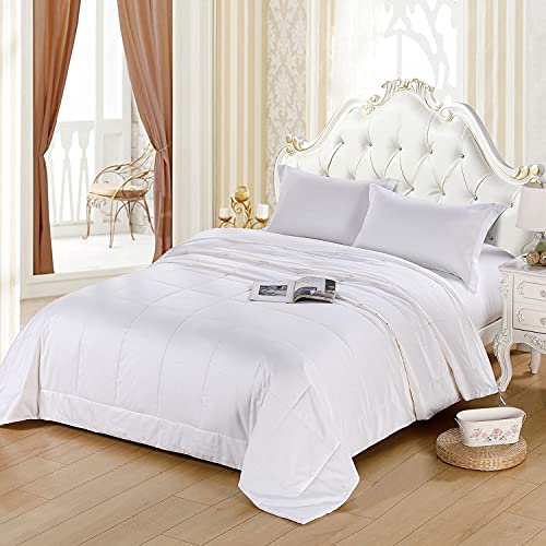 Since Silk Edred&oacute;n Relleno de Seda, 100% Seda de Morera Edred&oacute;n para Primavera Verano,...