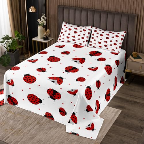 Manfei Ladybug - Juego de colcha para ni&ntilde;os, tama&ntilde;o individual, dise&ntilde;o de caricaturas de...