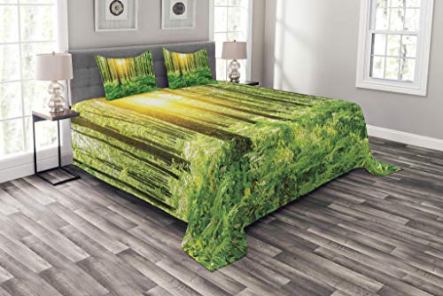 ABAKUHAUS Wald - Juego de Colcha y Fundas de Almohada de Estilo rom&aacute;ntico, Color Verde y Amarillo,...